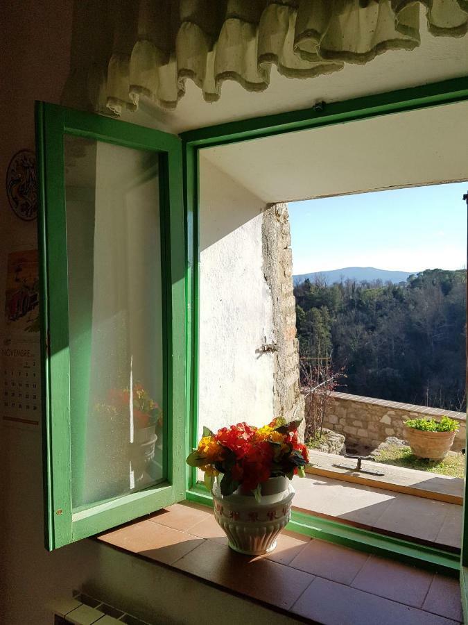 La Casa Del Fotografo Apartment Colle Val D'Elsa Luaran gambar