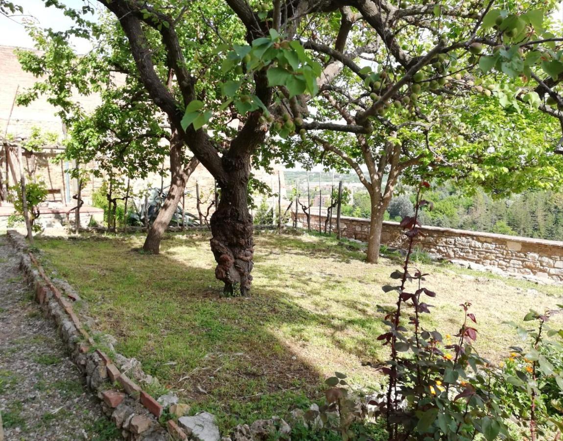 La Casa Del Fotografo Apartment Colle Val D'Elsa Luaran gambar