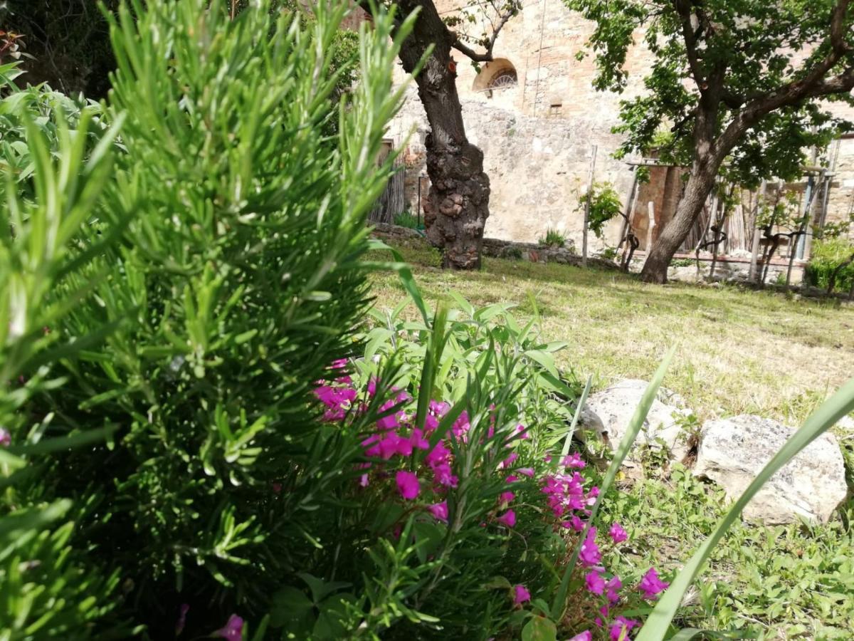 La Casa Del Fotografo Apartment Colle Val D'Elsa Luaran gambar