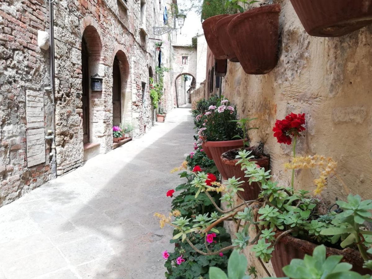 La Casa Del Fotografo Apartment Colle Val D'Elsa Luaran gambar